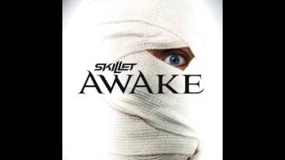 Skillet - Awake &amp; Comatose Albums