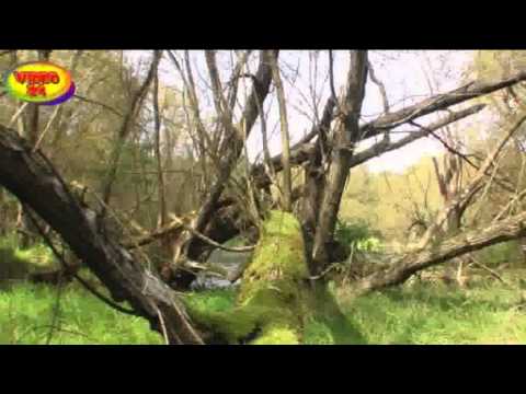 Die Blauberstadt Eggesin-Vorpommern Teil 7.flv