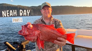 Neah Bay-Deep Sea Fishing | Halibut, Pacific Cod, Lingcod & Sea Bass: part 1 {Catch}