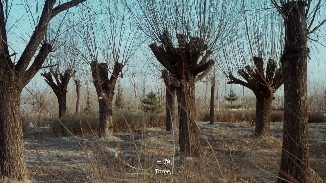 Finding Lubo - TRAILER