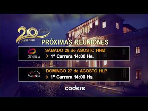 SINT COLONIA - HIPÓDROMO REAL DE SAN CARLOS - 25/8/2023