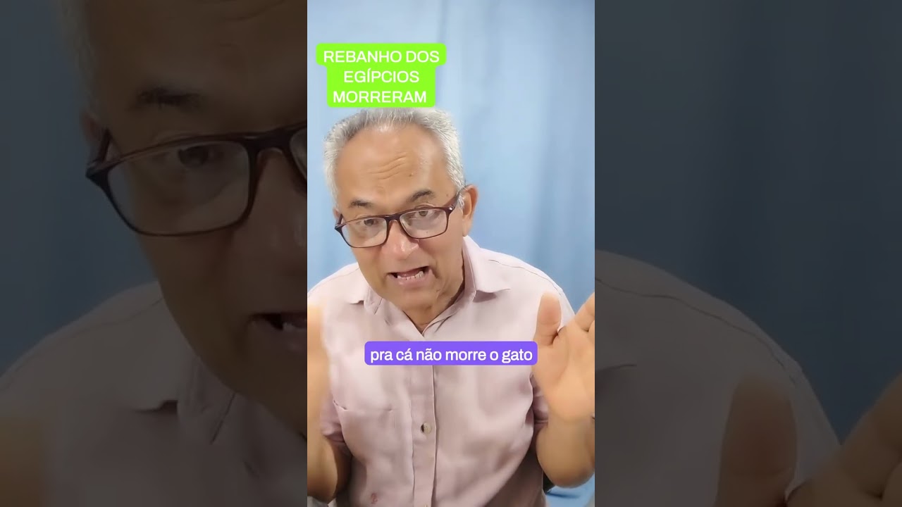 13 de novembro de 2024