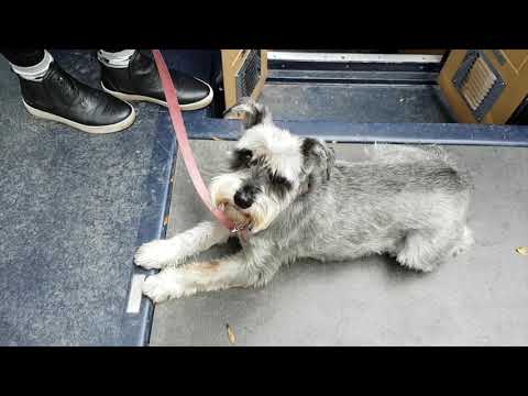 Stan Cullimore cruises the Llangollen with Black Prince Narrowboat Holidays