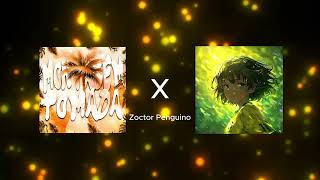 Download lagu MONTAGEM TOMADA X PASSO BEM SOLTO mp3