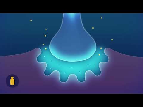 Neuromuscular Blocking Agents