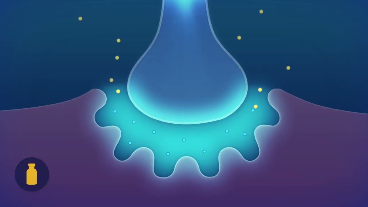 Neuromuscular Blocking Agents