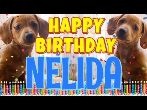 Happy Birthday Nelida! ( Funny Talking Dogs ) What Is Free On My Birthday