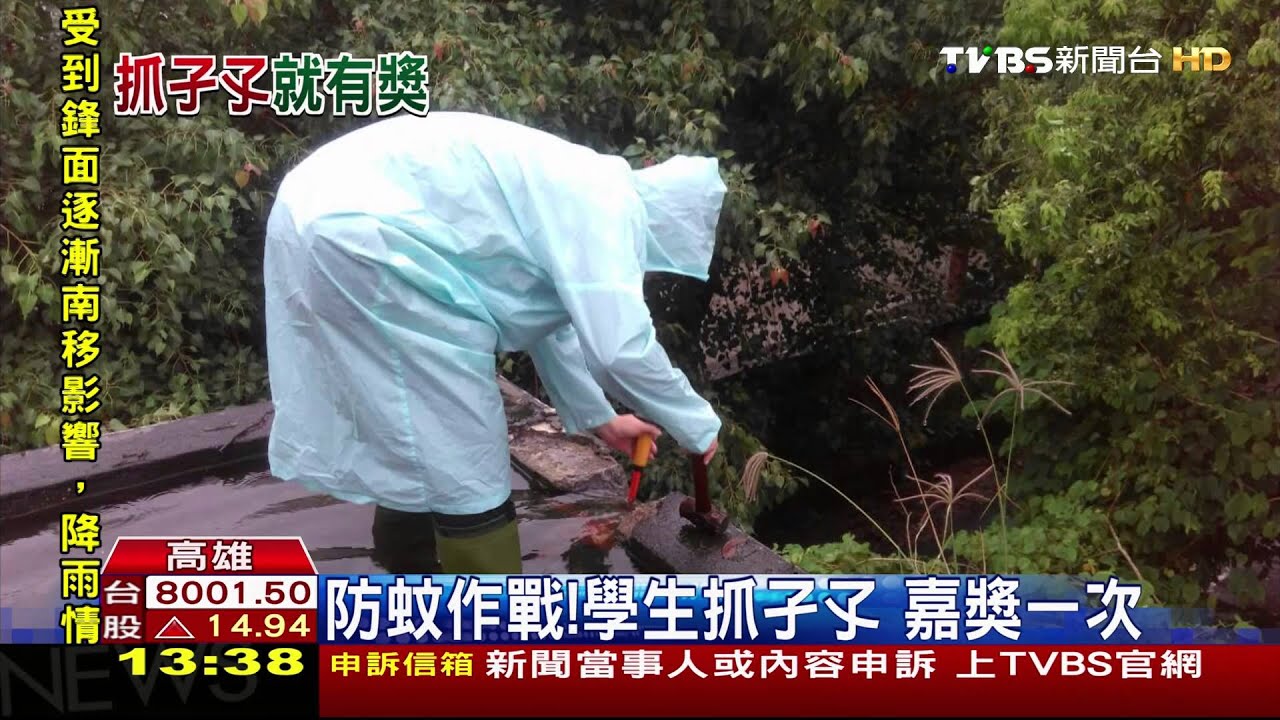 防蚊作戰!學生抓孑孓 嘉獎一次