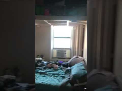 384 Commonwealth Ave #33