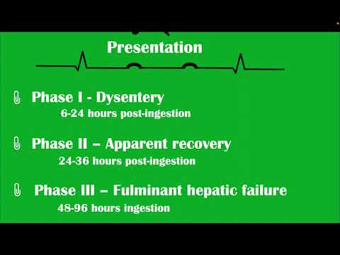 Amanita phalloides Poisoning