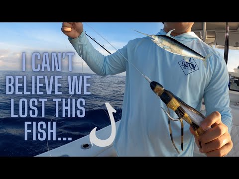 FIRST TIME DAYTIME SWORDFISHING