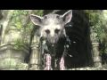 Gameplay video of The Last Guardian  Playstation