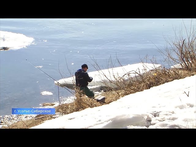 Рыбка с сюрпризом