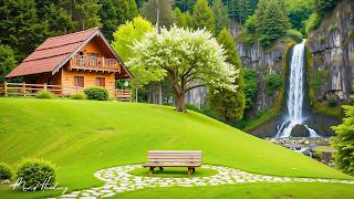 Music therapy 🌿Soothes the nervous system and refreshes the soul, relaxing