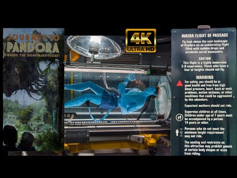 Pandora Avatar Flight of Passage | 4K POV Full Ride | Pandora: The World of AVATAR | Animal Kingdom