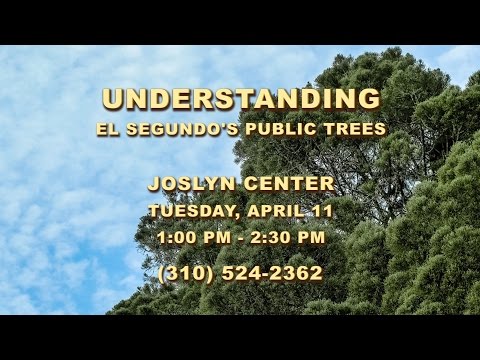 Understanding El Segundo's Public Trees - Community Class Promo
