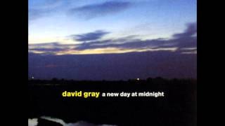 december - david gray
