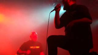 RAGING SPEEDHORN - REDWEED