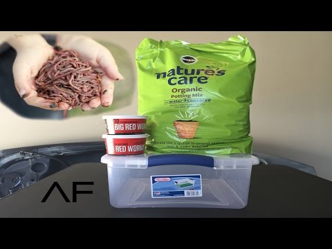 How To Breed Your Own Fishing Worms..EASY..MONEY SAVER!!!!!