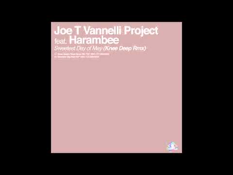 Joe T. Vannelli Project feat. Harambee - Sweetest Day Of May (Knee Deep's Vocal Hymn Mix)