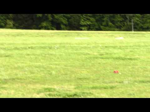 Yorkie Lure Coursing Ability Test - Mattie Silktree Runs!