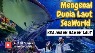 Download lagu Mengenal Dunia Bawah Laut SeaWorld Ocean Dream Samudra Ancol Sea World mp3 Download lagu Mengenal Dunia Bawah Laut SeaWorld Ocean Dream Samudra Ancol Sea World mp3