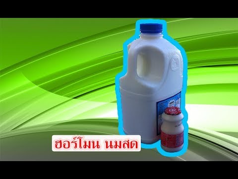 ยาที่เป็นมิตรสำหรับความอ่อนแอ เพิ่มความหนาอวัยวะเพศชาย