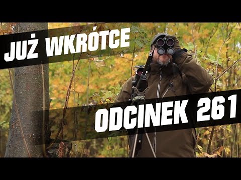 Darz Bór zapowiedź odcinka 261