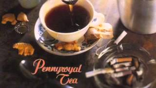 Nirvana - Pennyroyal Tea single [Full]