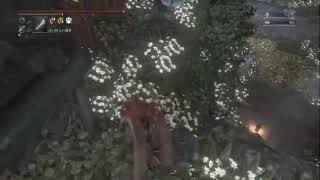 bloodborne  カンスト周回　考察縛りプレイ　その4