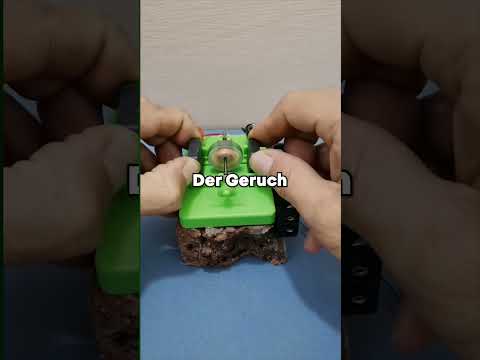 IHR RUF war ihr wichtiger als dein LEBEN!? #shorts #satisfying #storytime  #entspannung