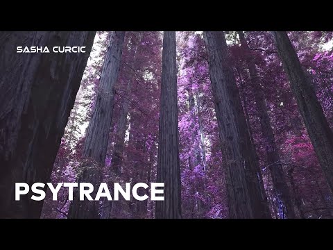 Sasha Curcic - PSYTRANCE Vol. 94