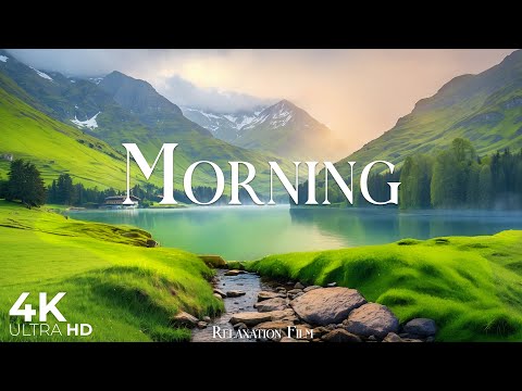 Morning 4K • Peaceful Nature Relaxation Film with Deep Calming Music | 4K Ultra HD