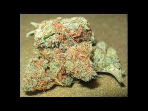 Kid Springs Feat Greedy G3nius - That Kush [New/CDQ/Dirty/2009/December][Prod By Bravestar]