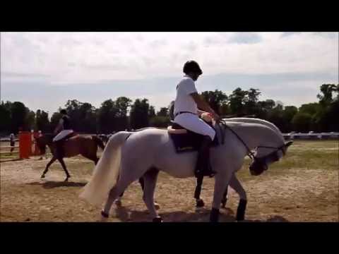 Paddock, Chantilly 2016 :  Ludger Beerbaum, Christian Ahlmann, Scott Brash.