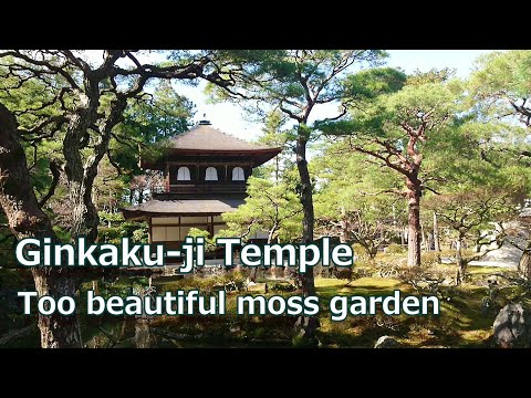 Ginkaku-ji Temple, Kyoto, Japan - Too beautiful moss garden