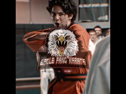 The colors of Miguel Diaz • Miguel Diaz Edit • Cobra Kai