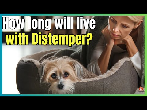 🐶 HOW LONG CAN A DOG LIVE WITH DISTEMPER? 🐶