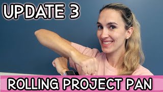 Rolling Project 10 Pan Update #3 2024