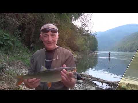 RIBOLOVACKE STRASTI PECANJE SKOBALJA NA RECI DRINI PRVI DEO 13.10.2024