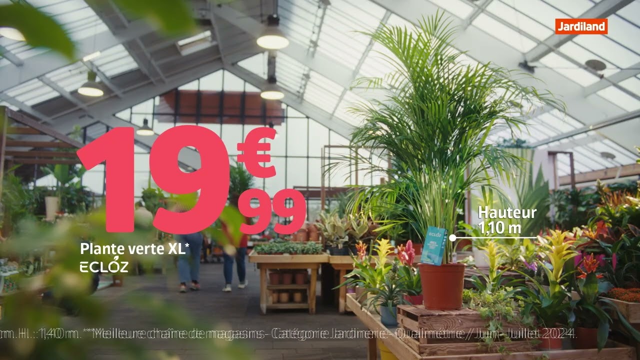 Bande-annonce du film Le Chêne