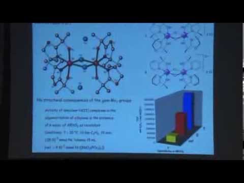 Professor Pierre Braunstein | WIN Seminar Series