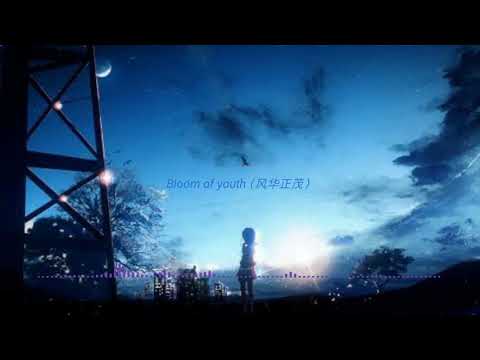『纯音乐』清水準一 － bloom of youth（风华正茂）