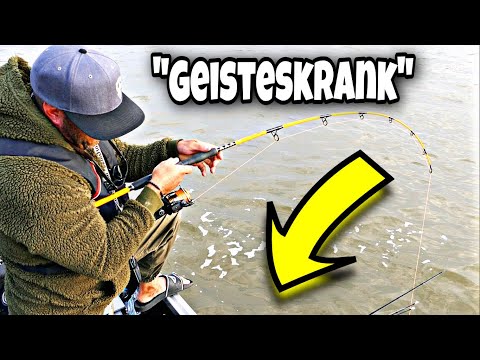 Zander, Wels, Hecht, Rapfen. Angeln extrem.