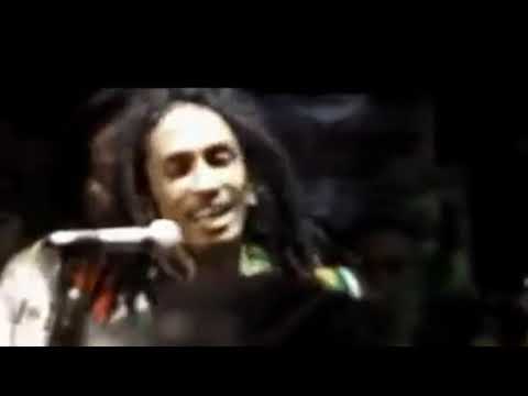 Mr. Sunshine - Fredi Marley ( official music video )