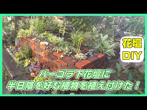 パーゴラに適したつる性の植物はどれですか?高く成長する美しい花を咲かせる7つの品種  庭園