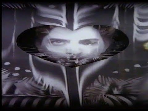 Video thumbnail for Long Way Down (Look What the Cat Drug In)