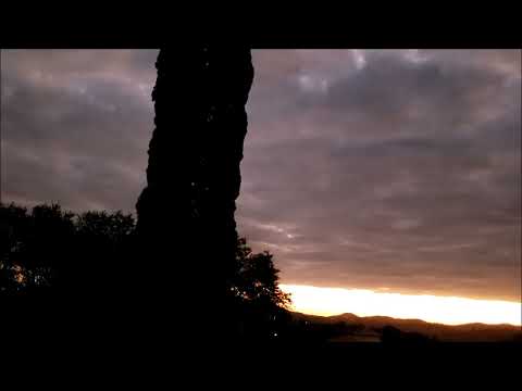 Philip Catherine, Ralph Towner & Trilok Gurtu, Linz (1988)