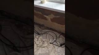 Video Before plastering and skirts