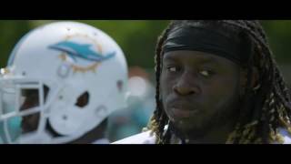Botany- Au Revoir w/Milo-- Miami Dolphins Preseason